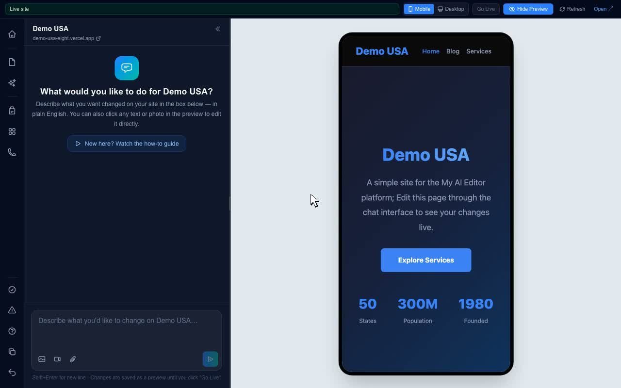 The editor: chat on the left, the private preview of Demo USA on the right, Go Live at the top.